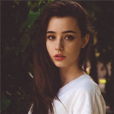 bob手机网页版登录入口