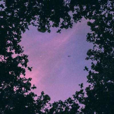 ROR体育官网登录入口app下载