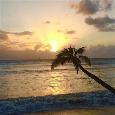 hth会体会官方网页版app下载